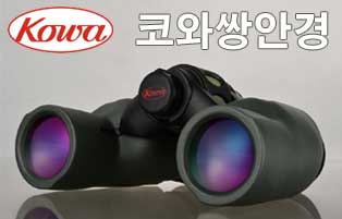 코와