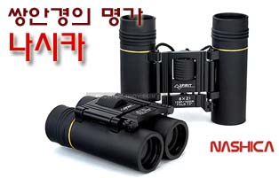 나시카