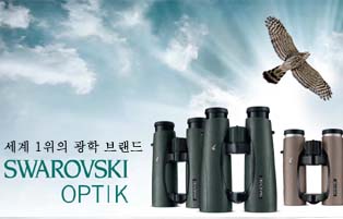 스와로브스키