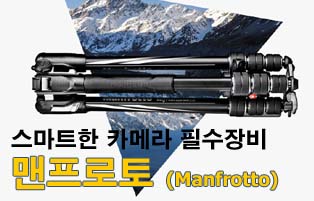 멘프로토