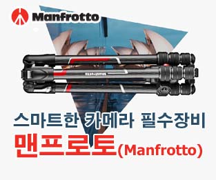 멘프로토
