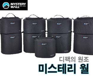 미스테리월