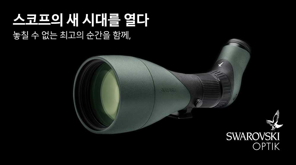 스와로브스키